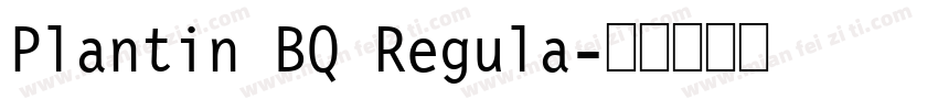 Plantin BQ Regula字体转换